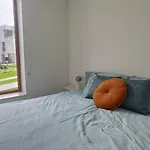 55 オステンド